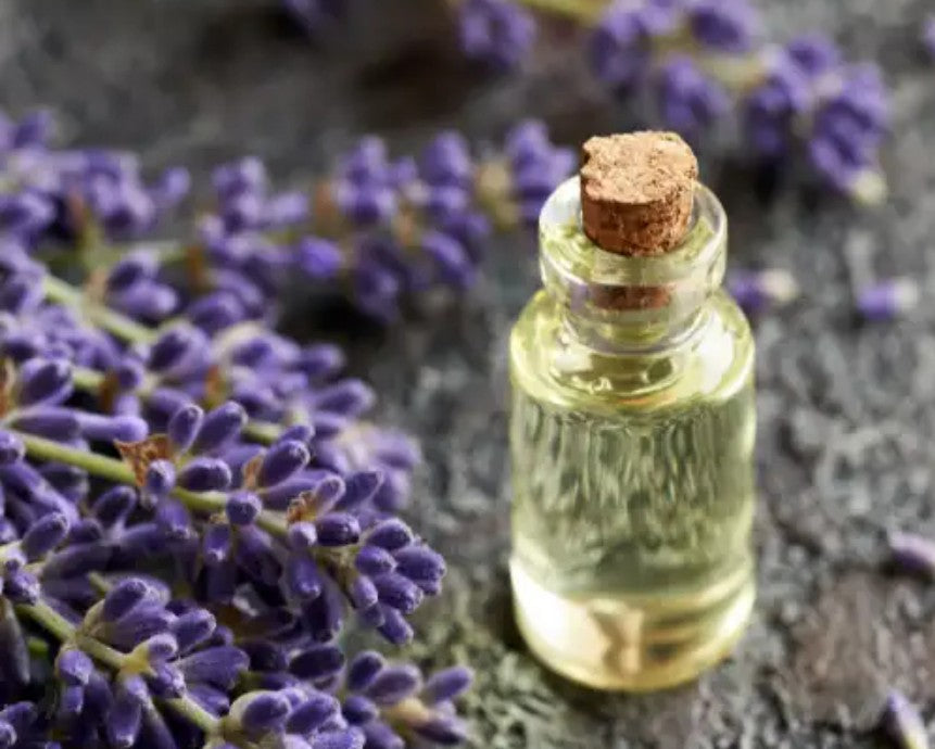 Lavender Essential Oil - 10ml